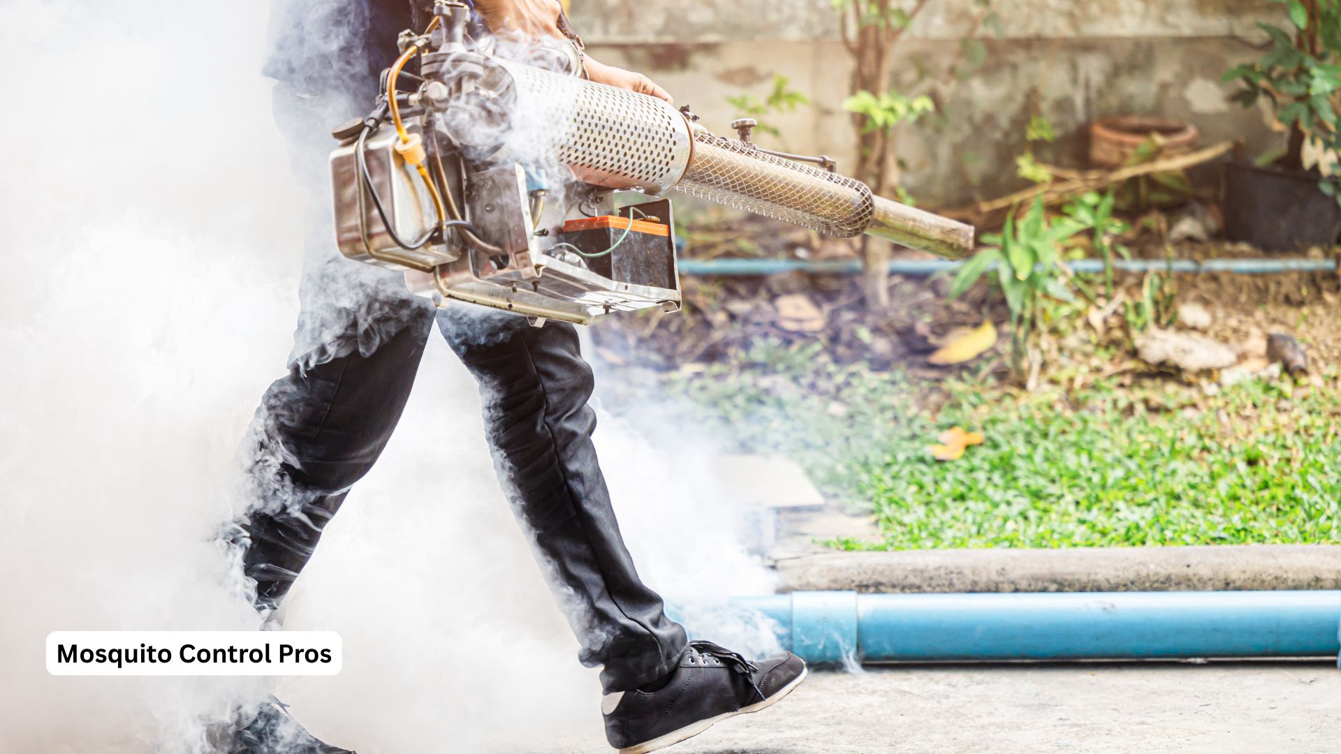 Family-focused mosquito control methods Hunters Creek